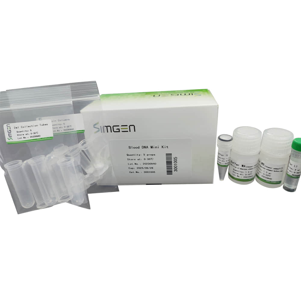 Blood DNA Mini Kit 