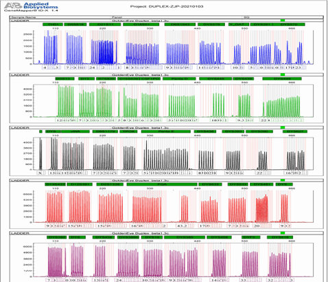 DNA Identification System 27Y