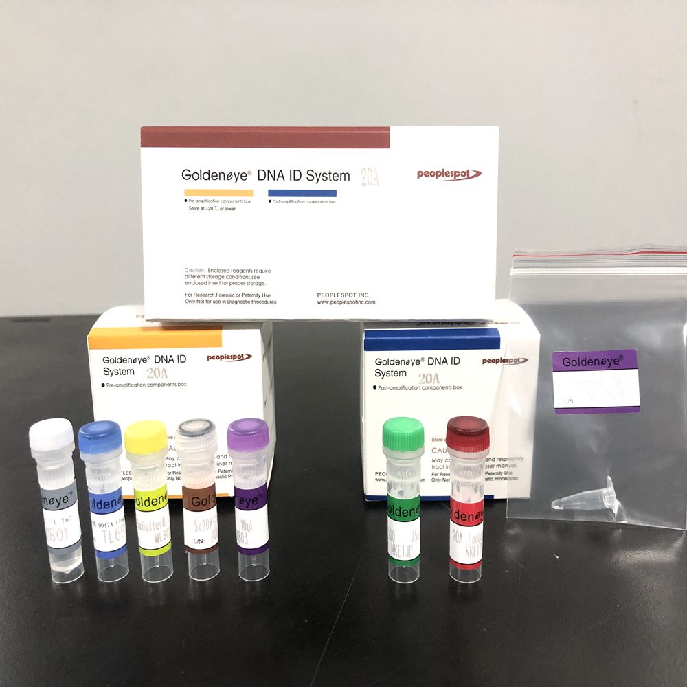  DNA Identification system 2 0A