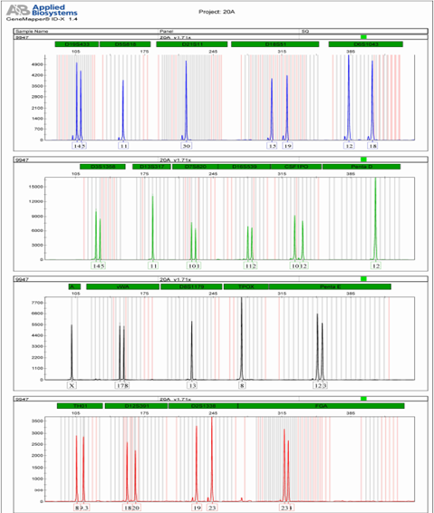  DNA Identification system 2 0A