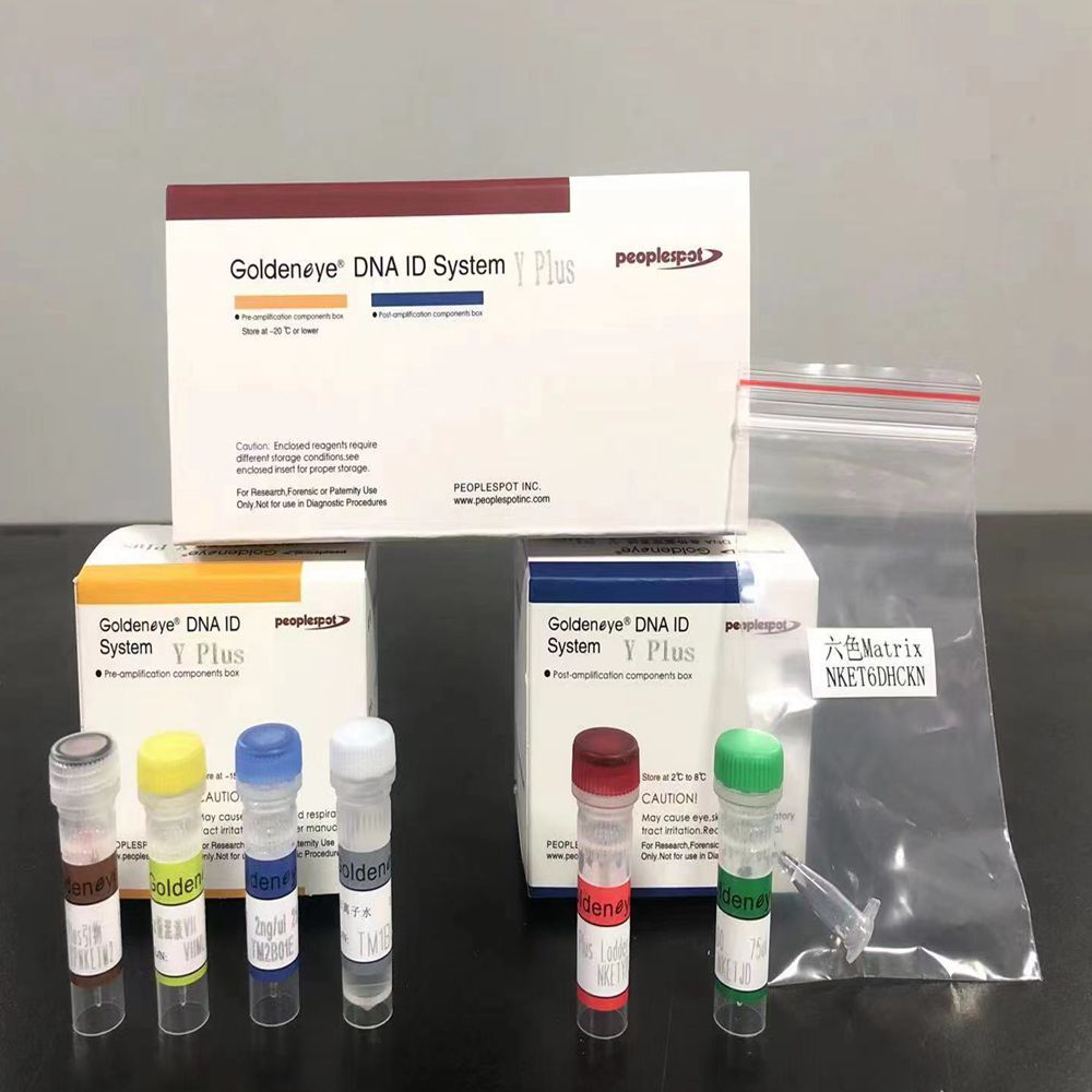 DNA Identification System Y Plus