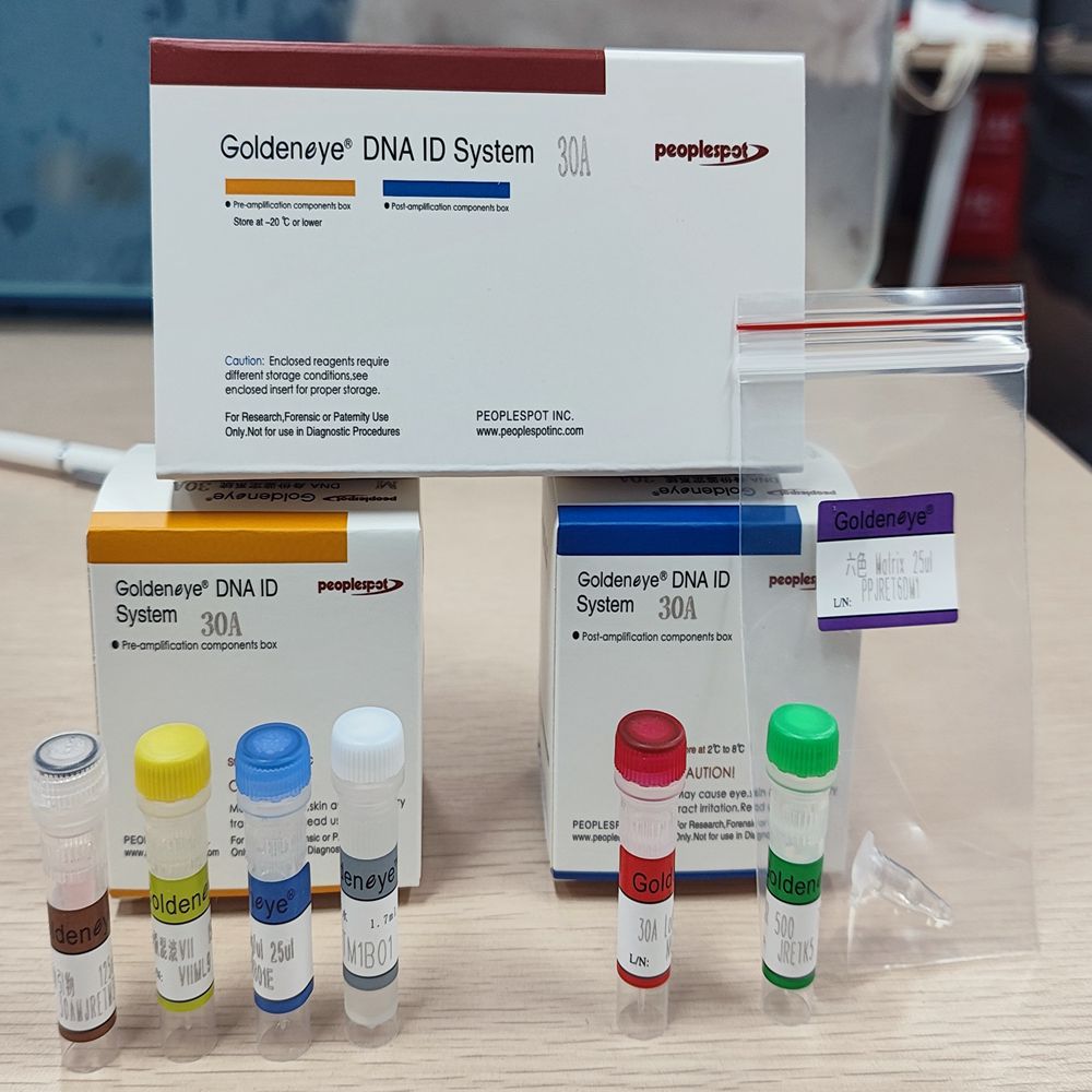 DNA Identification System 30A (Non-Extraction)