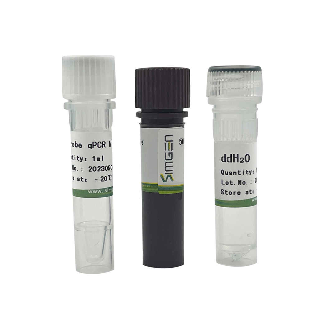 2×Probe qPCR Mix