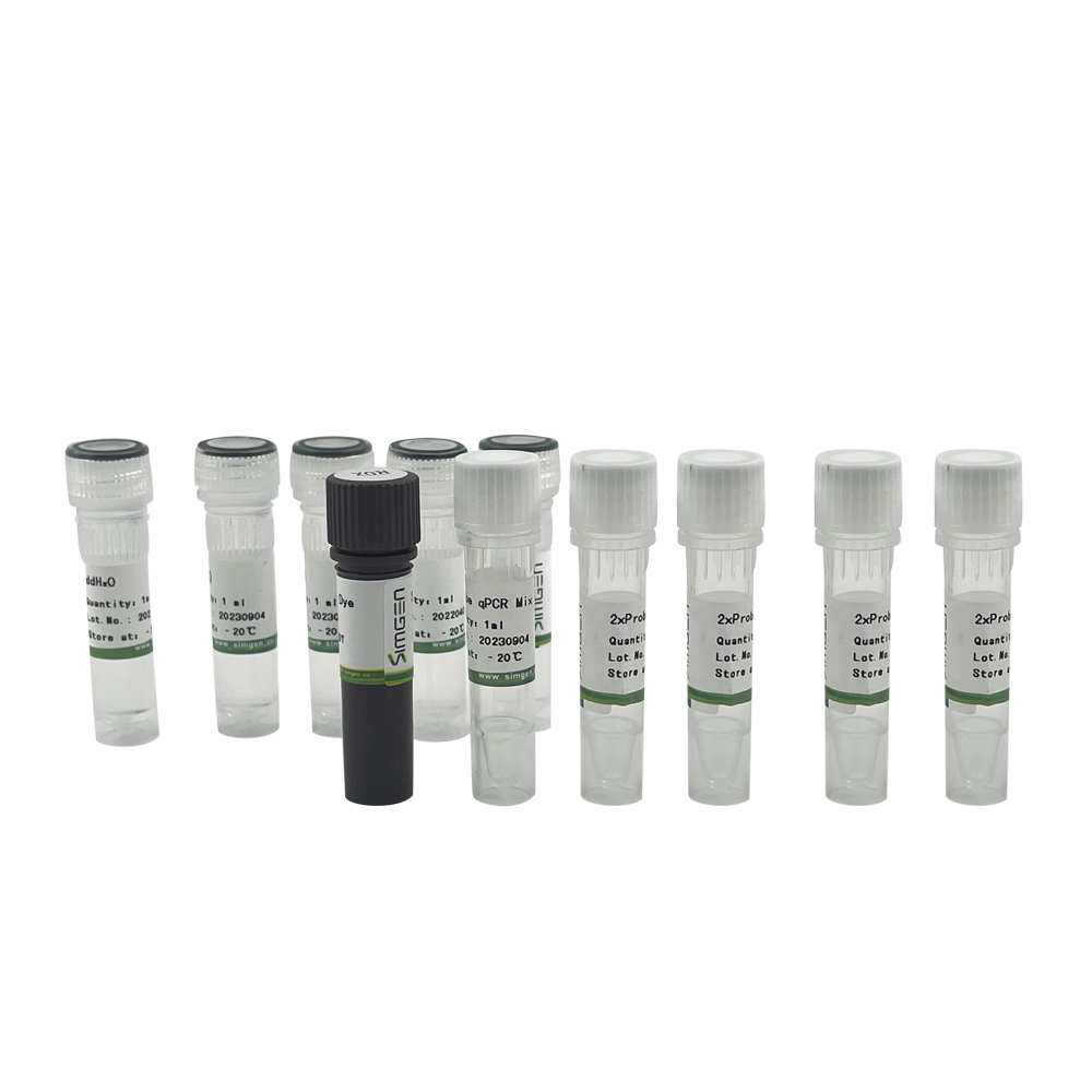 2×Probe qPCR Mix