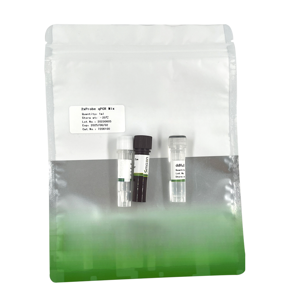 2×Probe qPCR Mix
