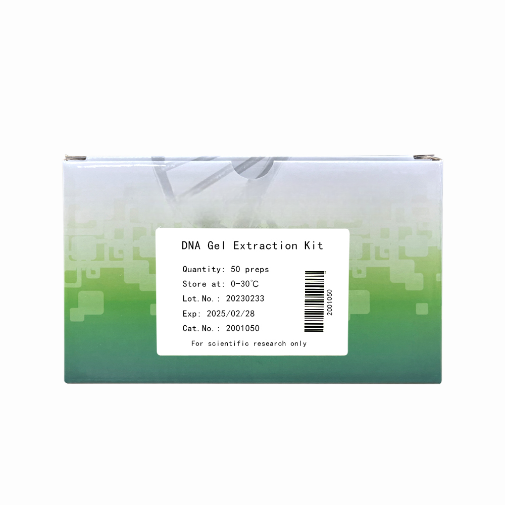 DNA Gel Extraction Kit