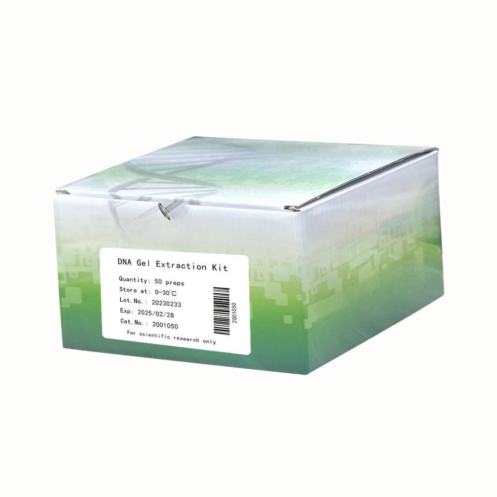 DNA Gel Extraction Kit