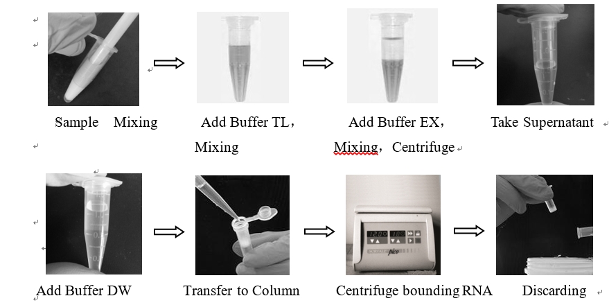 Ultrapure Total RNA Extraction Kit 