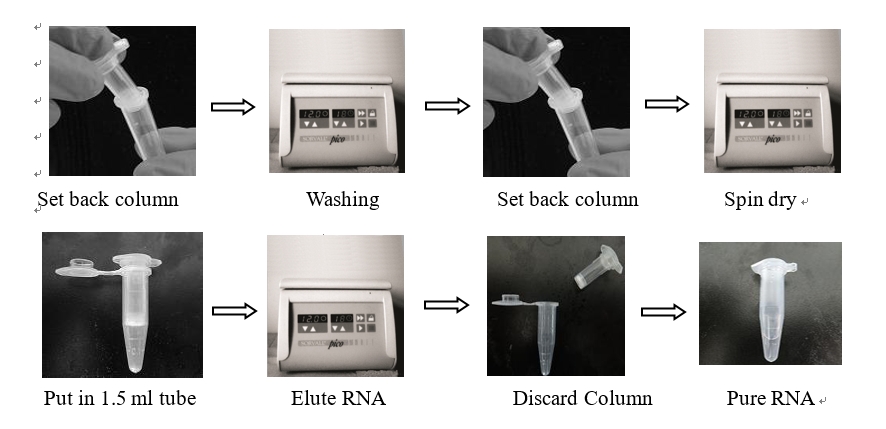 Ultrapure Total RNA Extraction Kit 