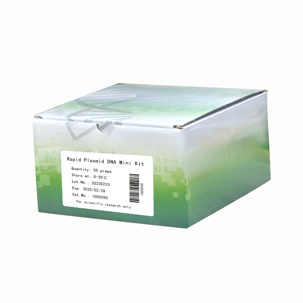 Rapid Plasmid DNA Mini Kit