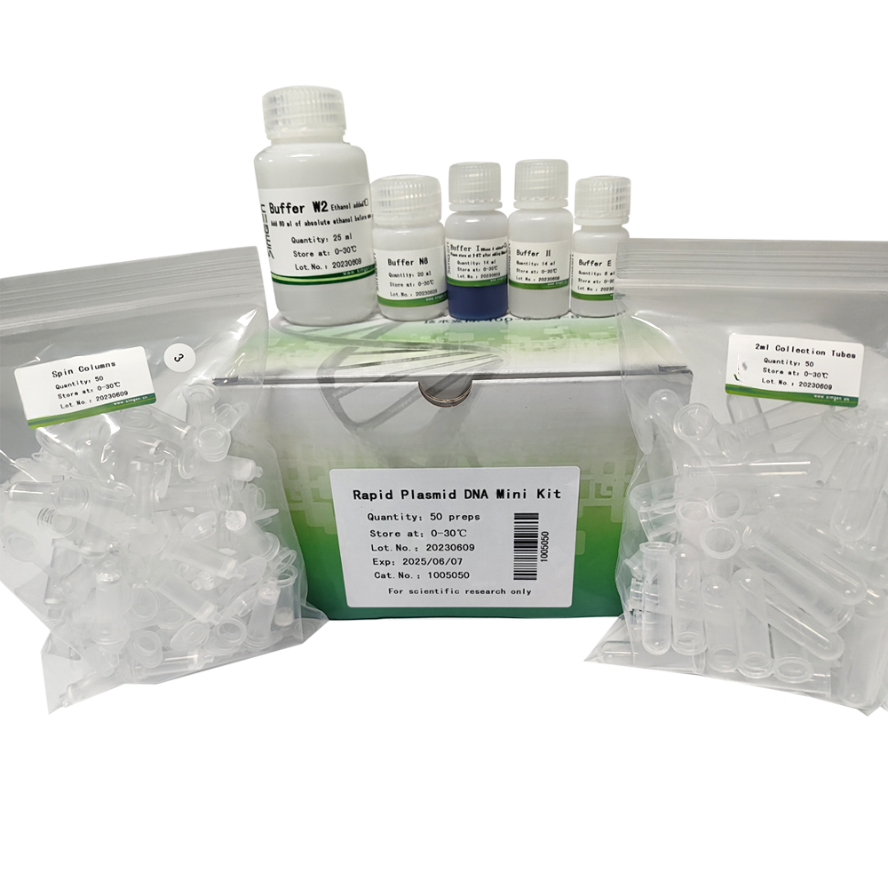 Rapid Plasmid DNA Mini Kit