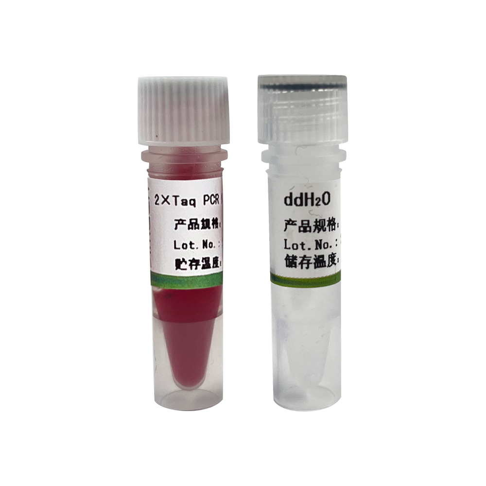 2×Taq PCR Master Mix