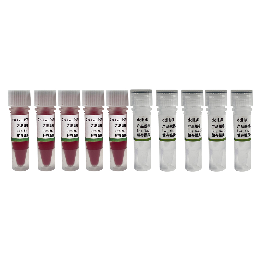 2×Taq PCR Master Mix