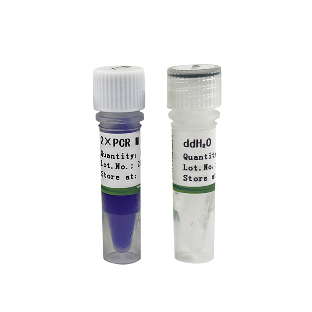 2×PCR Mix