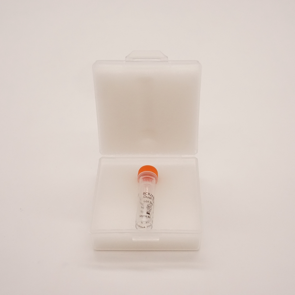 BCR ABL1 Dual Color Dual Fusion Probe  Fluorescence in situ hybridization (FISH) Reagents