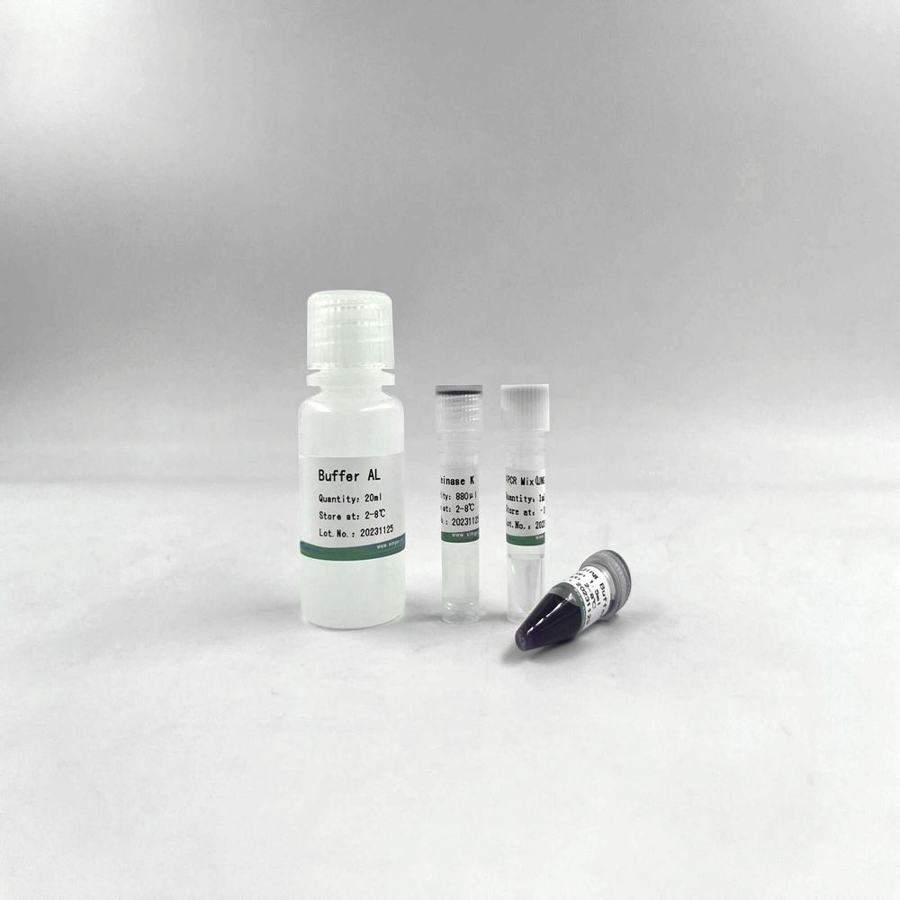 Animal Tissue Direct PCR Kit-UNG 