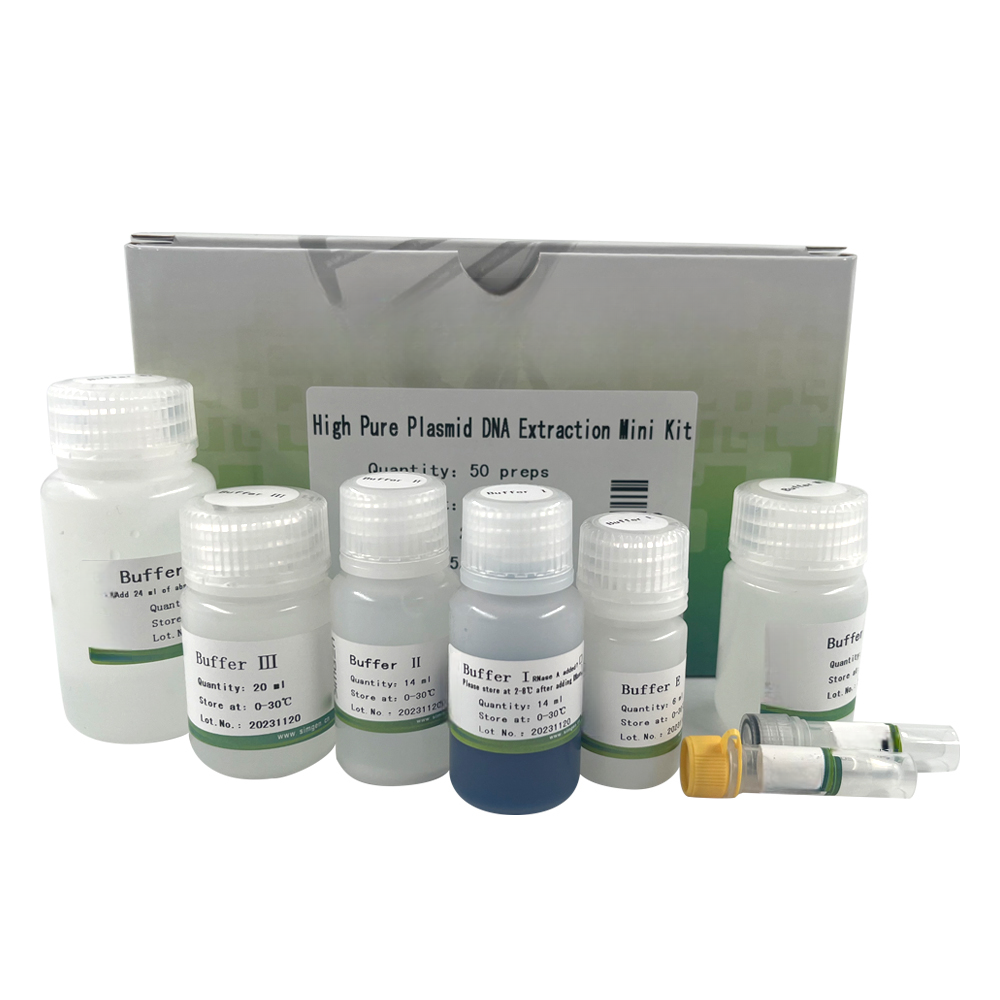 High Pure Plasmid DNA Extraction Mini Kit