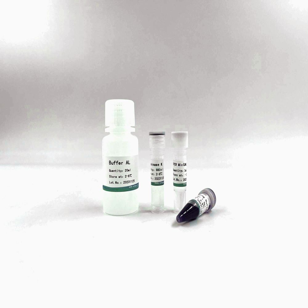Animal Tissue Direct PCR Kit-UNG 