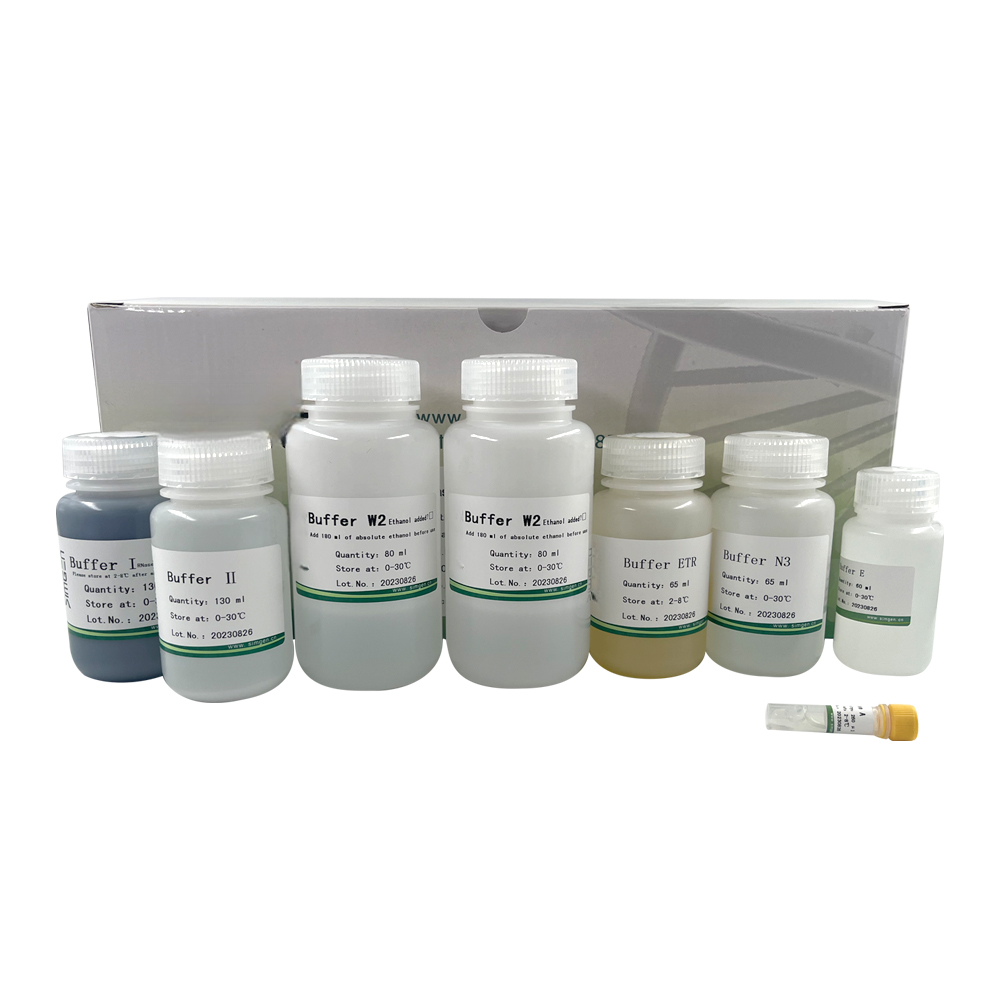 Endo-free Plasmid DNA Extraction Midi Kit