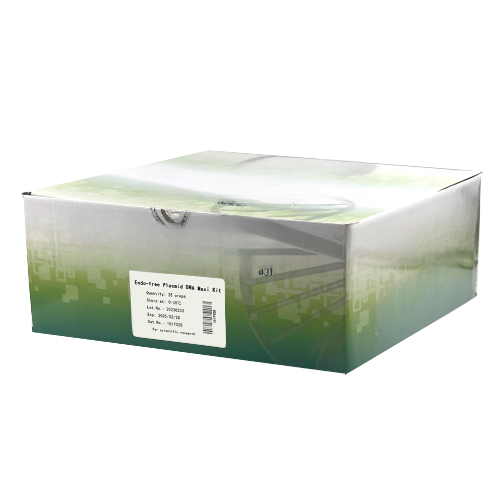 Endo-free Plasmid DNA Extraction Maxi Kit 