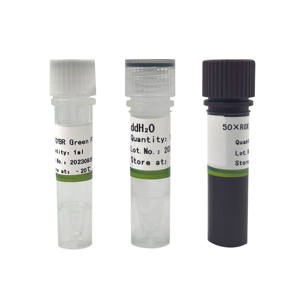 2×SYBR Green PCR Mix    