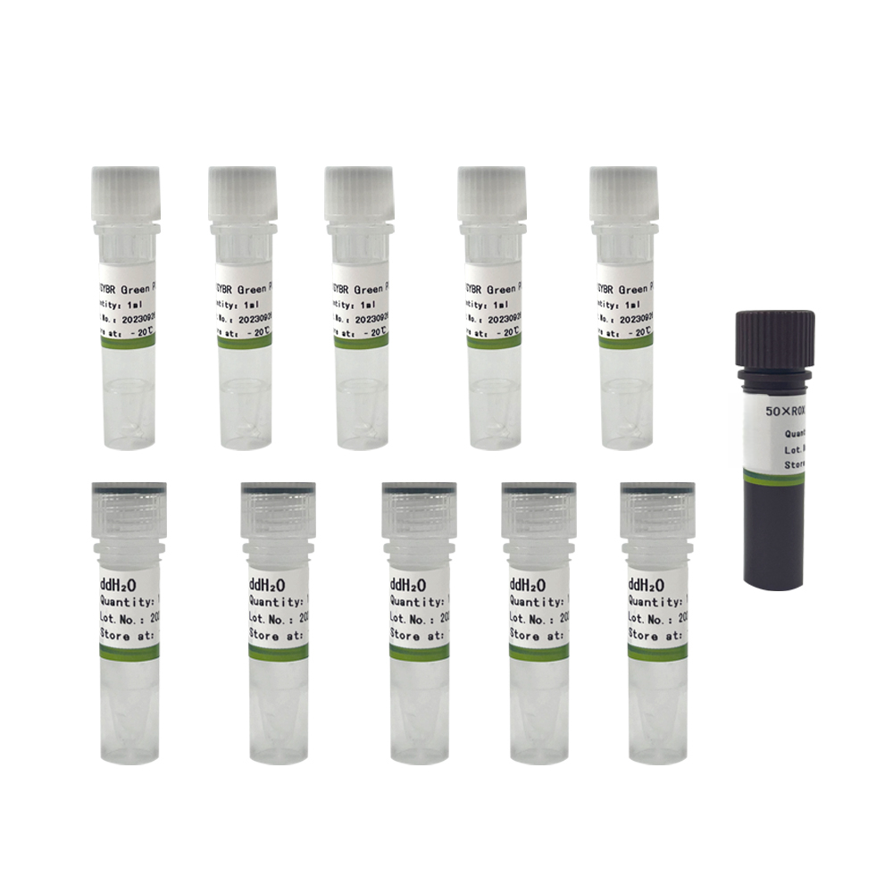 2×SYBR Green PCR Mix    