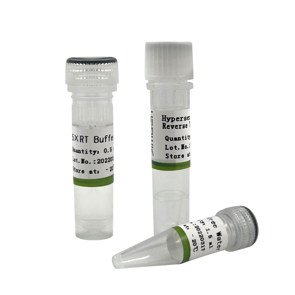Hypersensitive M-MLV Reverse Transcriptase 