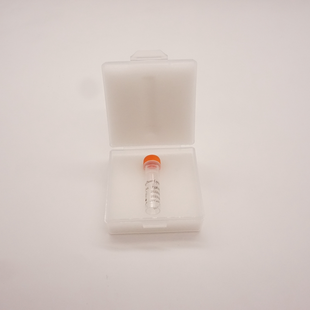 20q12/20q13.33 Dual Color Probe Fluorescence in situ hybridization (FISH) Reagents