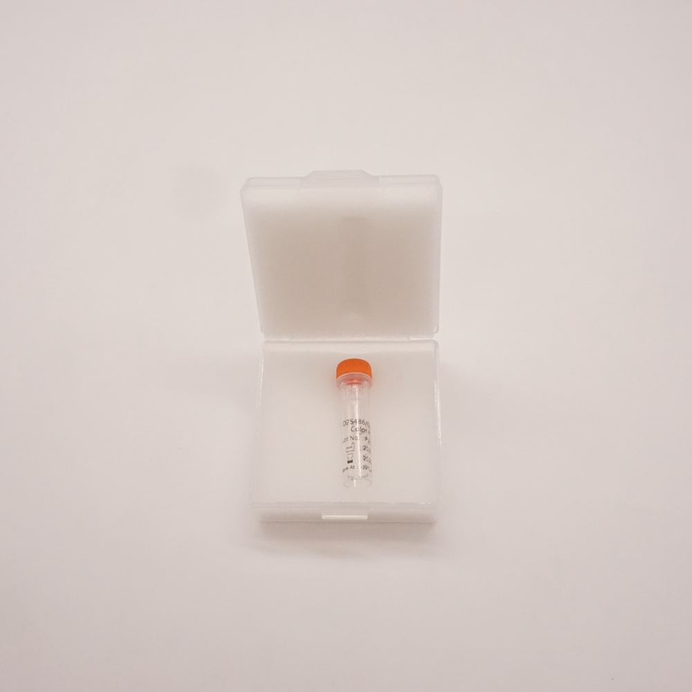 D7S486/CSP7 Dual Color Probe  Fluorescence in situ hybridization (FISH) Reagents