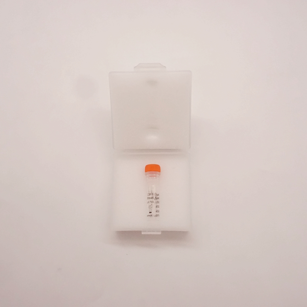 CBFB Dual Color Break Apart Probe  Fluorescence in situ hybridization (FISH) Reagents