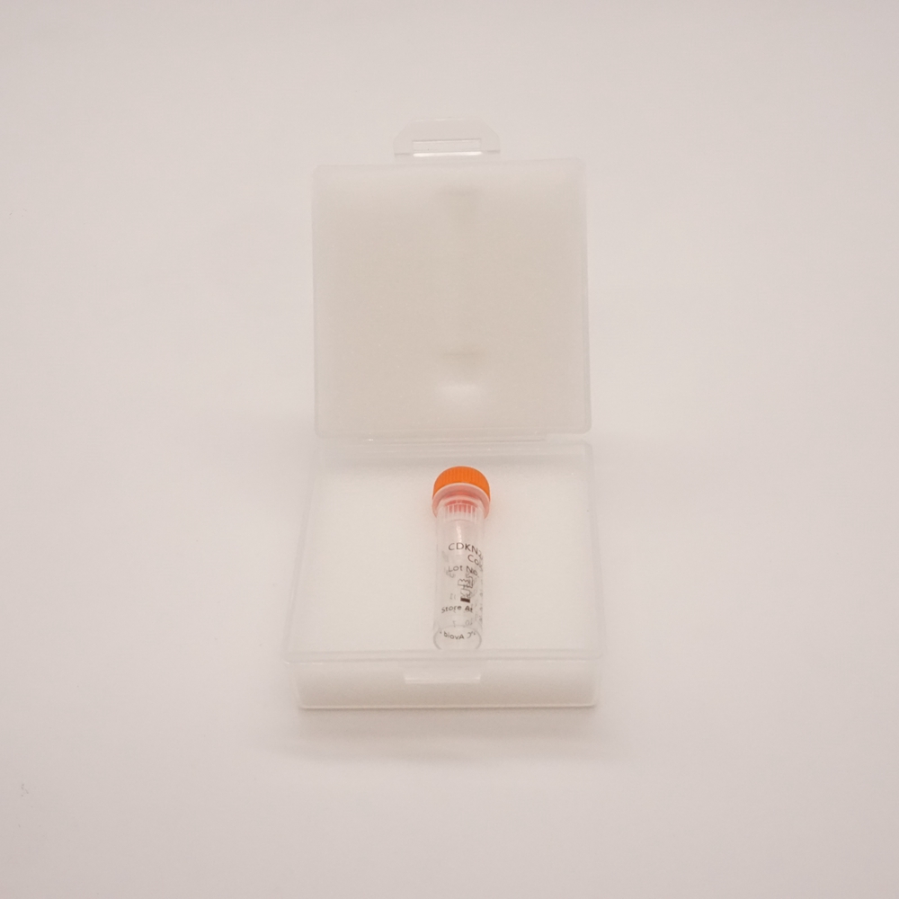 CDKN2A/CSP9 Dual Color Probe Fluorescence in situ hybridization (FISH) Reagents