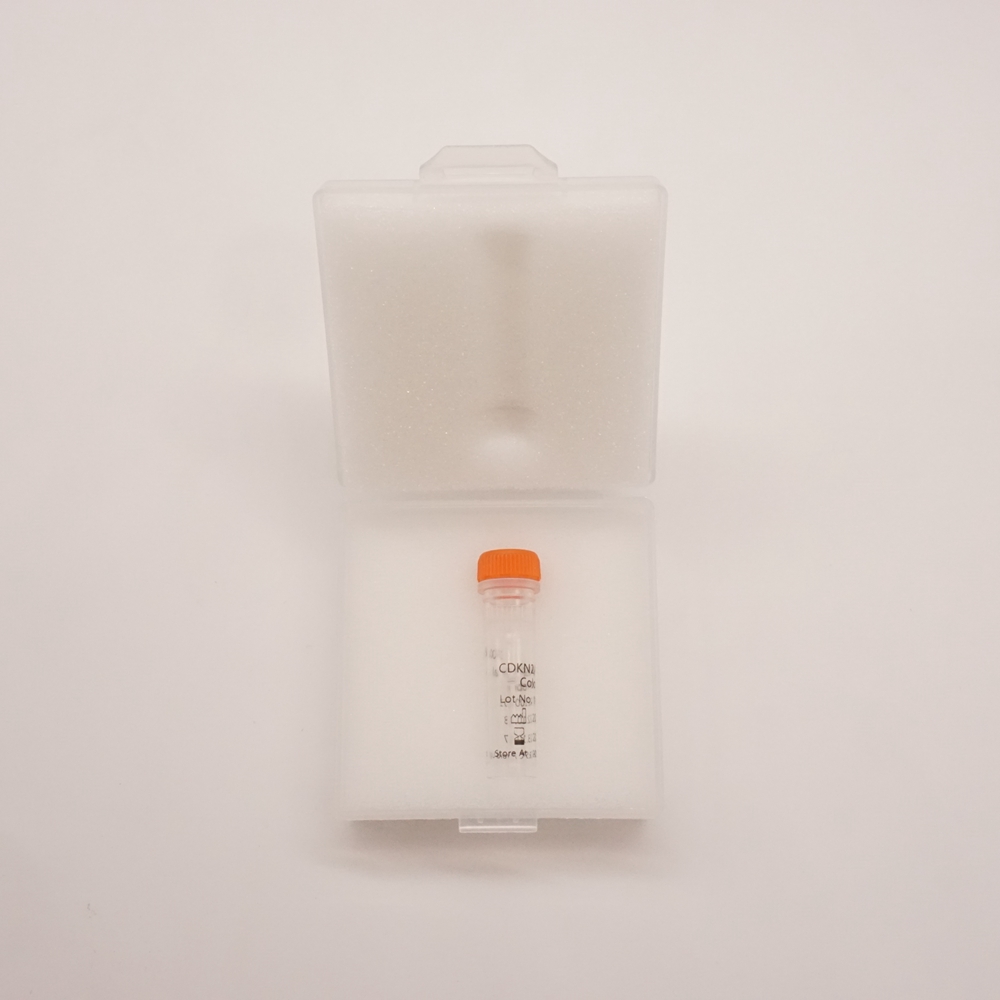 CDKN2A/CSP9 Dual Color Probe Fluorescence in situ hybridization (FISH) Reagents