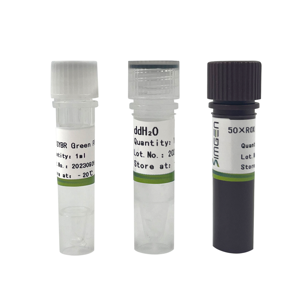 PCR, multiple PCR, In situ PCR different