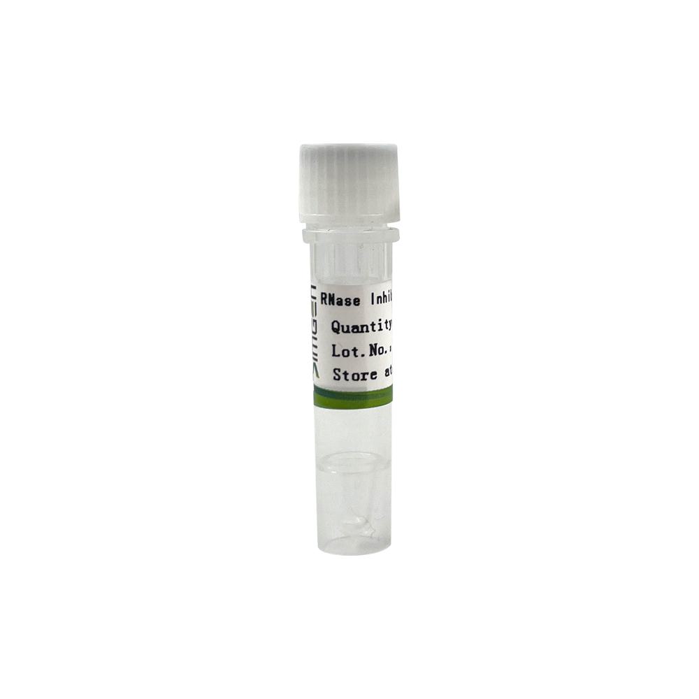 RNase Inhibitor Instructions