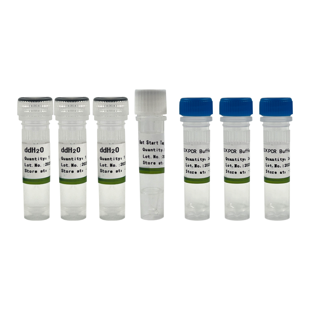 Hot Start Taq DNA Polymerase
