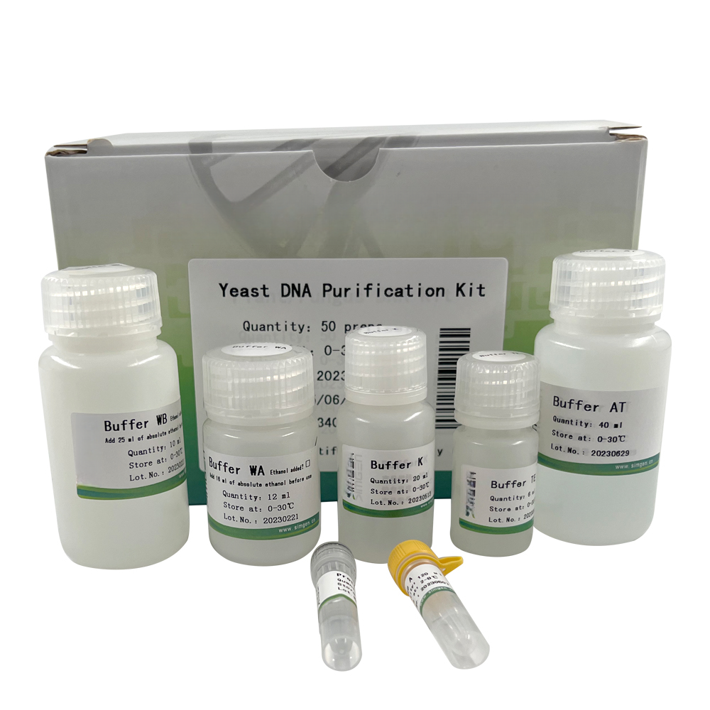 Yeast Genomic DNA Miniprep Kit - 50 Preps For Laboratory Use