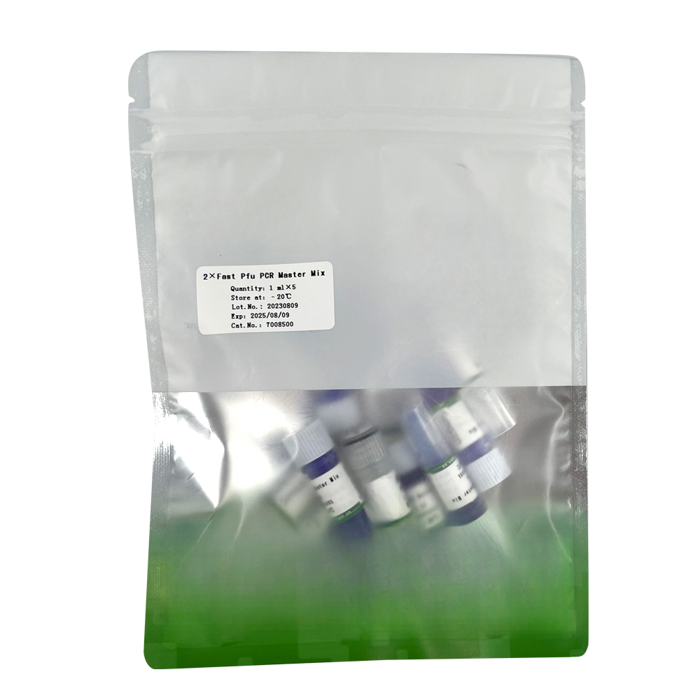 2×Fast Pfu PCR Master Mix 