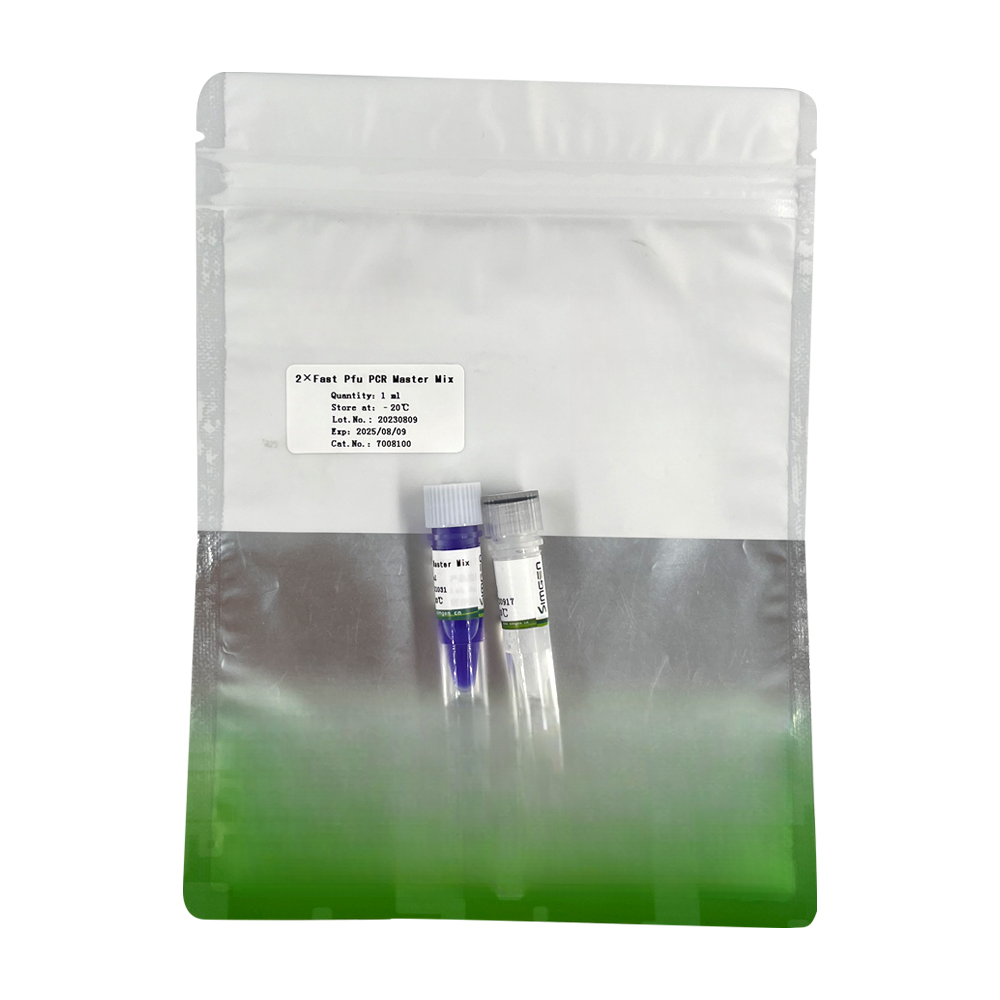 2×Fast Pfu PCR Master Mix 