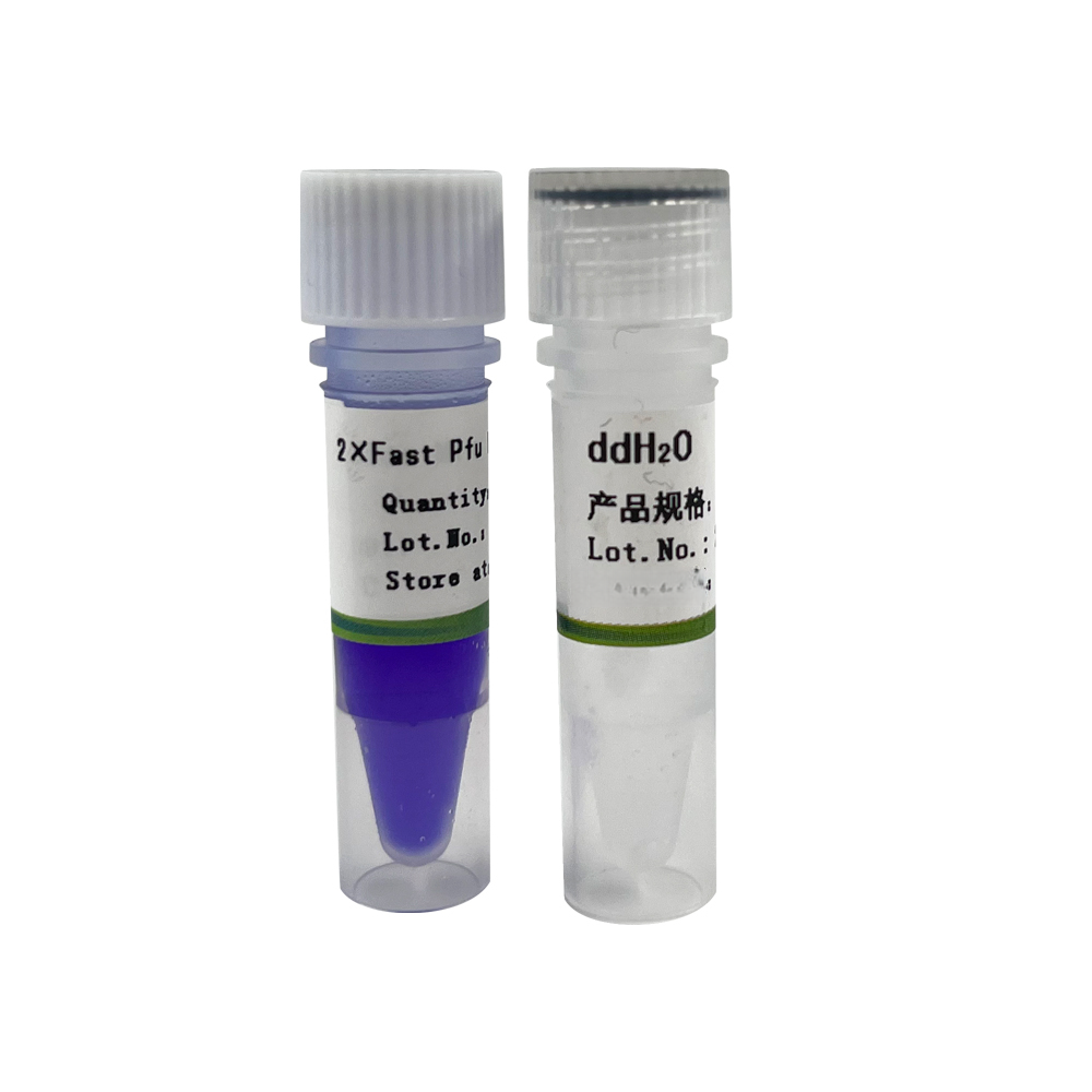 2×Fast Pfu PCR Master Mix 