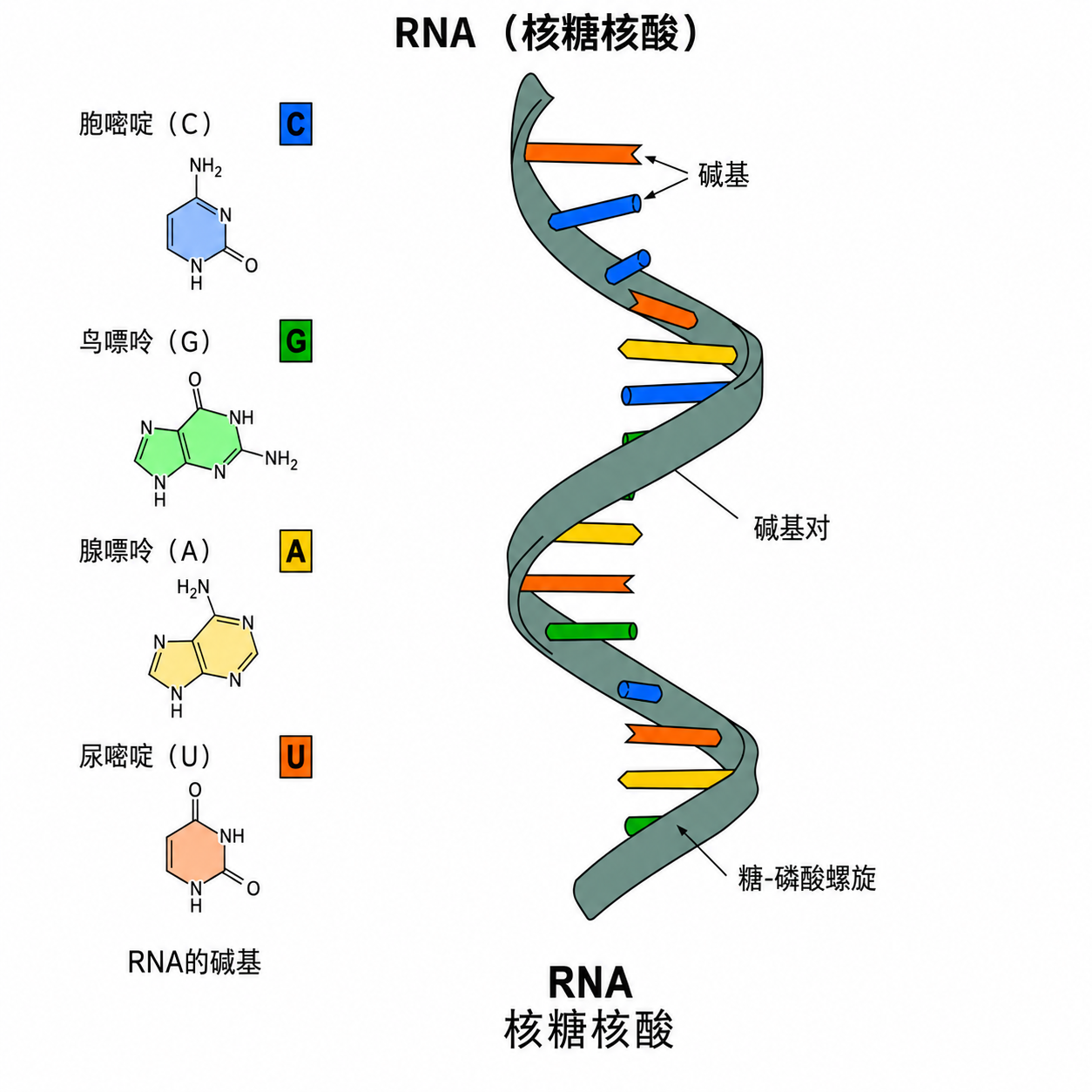 RNA Extraction Kit