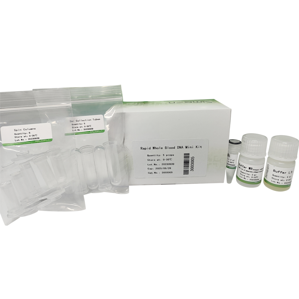Rapid Whole Blood DNA Mini Kit (8-Minute Protocol) for g DNA Extration