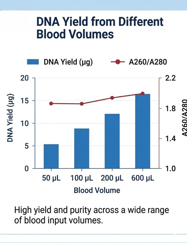 Rapid Whole Blood DNA Mini Kit with 8-minute genomic DNA extraction protocol Rapid Whole Blood DNA Mini Kit with 8-minute genomic DNA extraction protocol