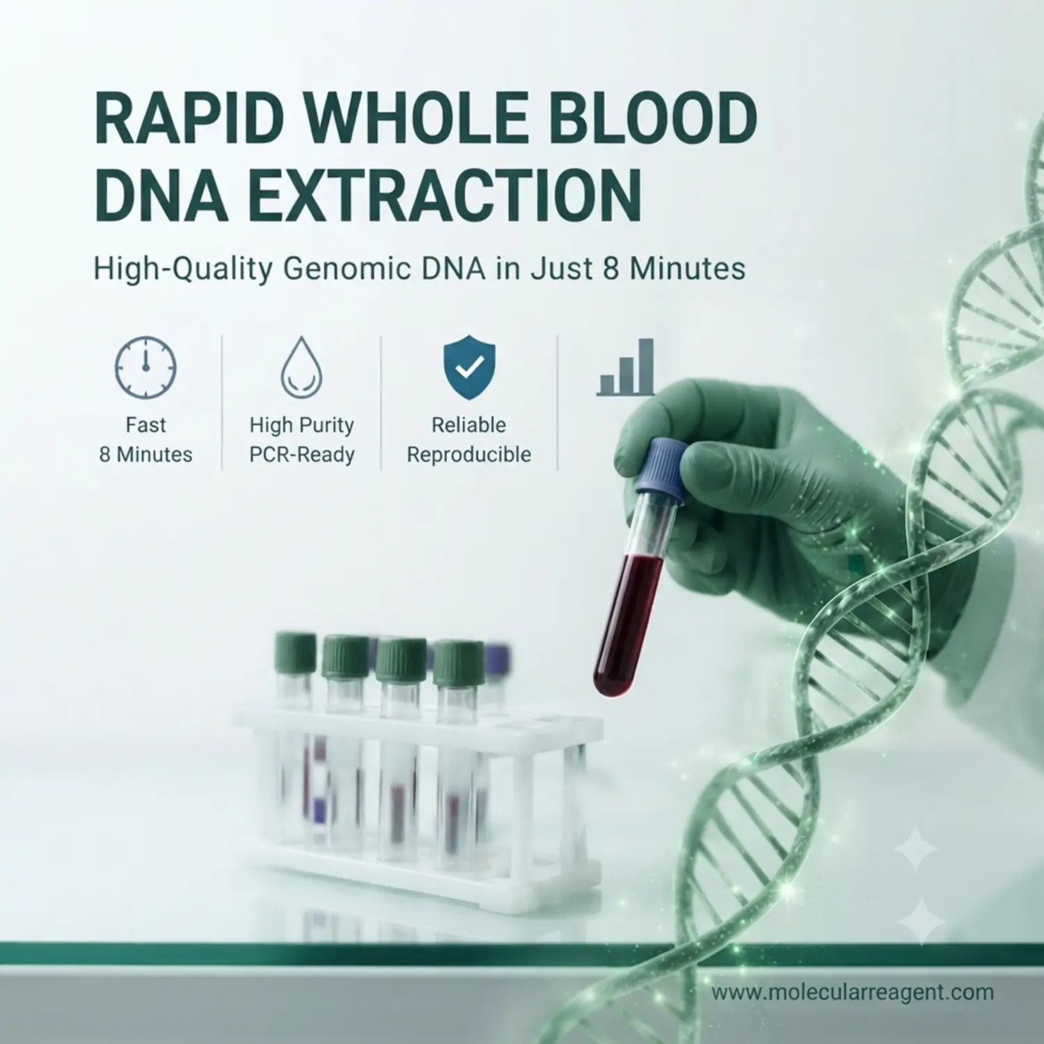 Rapid Whole Blood DNA Extraction in Just 8 Minutes: A Complete Guide for PCR, qPCR and Sequencing