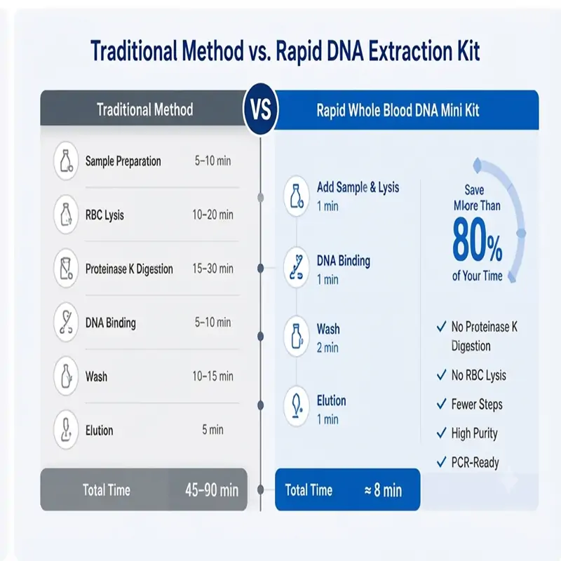 rapid whole blood DNA extraction rapid whole blood DNA extraction