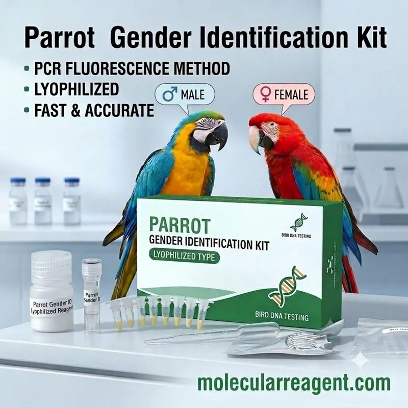 Parrot Gender Identification Kit UniversalCHD Gene Detection|Real-Time PCR Fluorescenc |Lyophilized