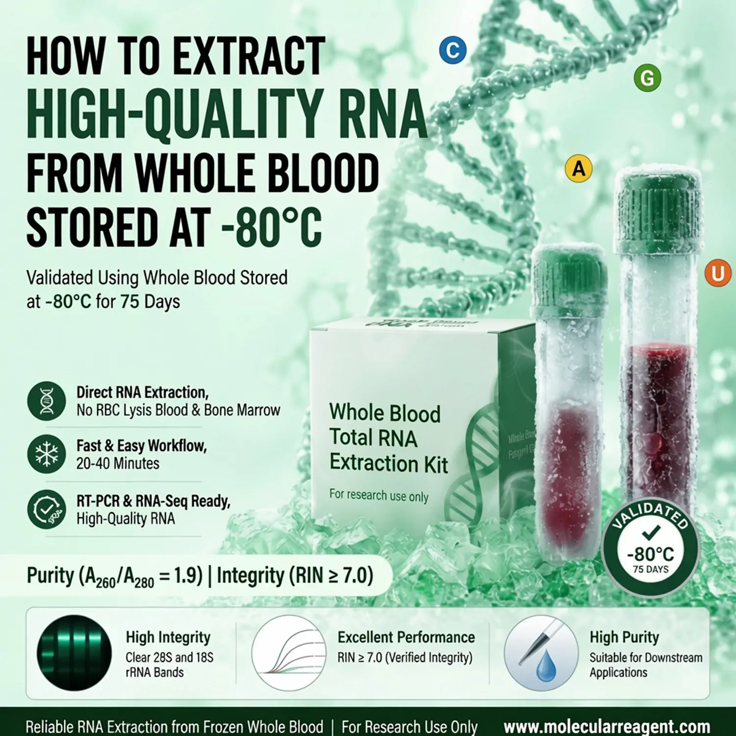  How to Extract RNA Directly from -80°C Frozen Whole Blood ，without red blood cell (RBC) lysis