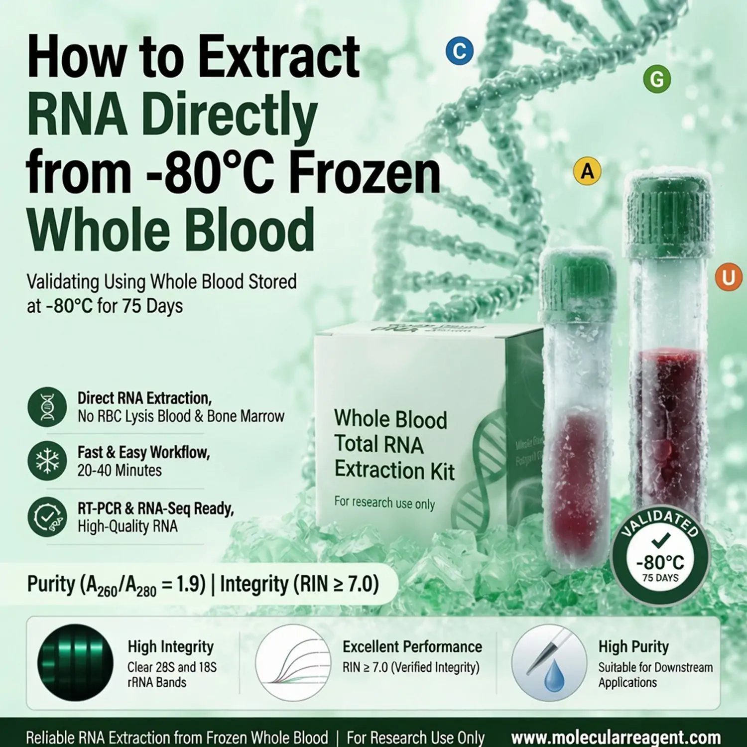  How to Extract RNA Directly from -80°C Frozen Whole Blood ，without red blood cell (RBC) lysis