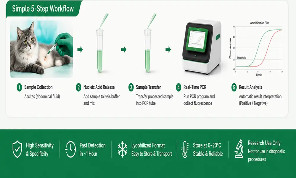 Feline Herpesvirus & Calicivirus (FHV-1/FCV) qPCR Detection Kit | Direct PCR