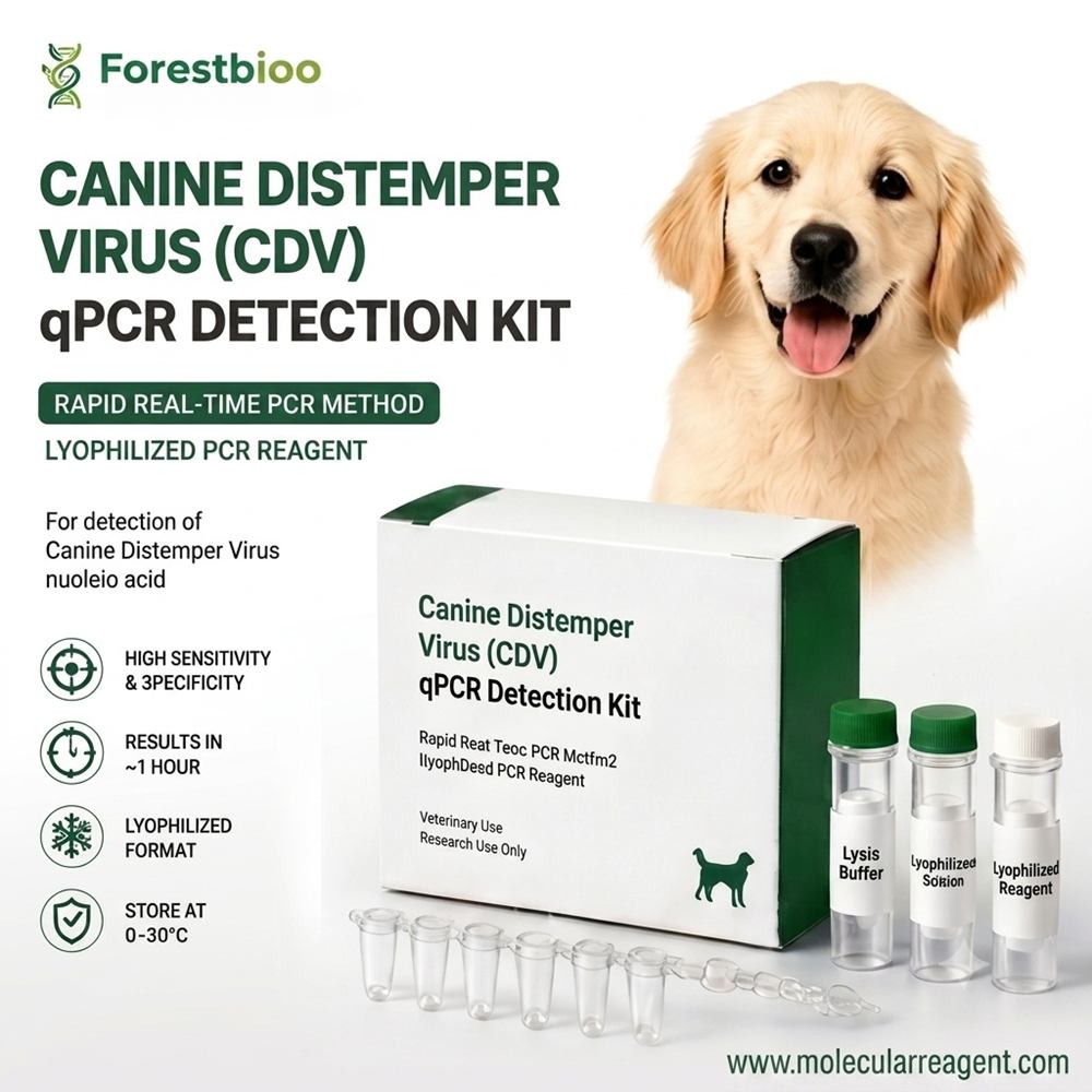 Canine Distemper Virus (CDV) qPCR Detection Kit | Veterinary PCR