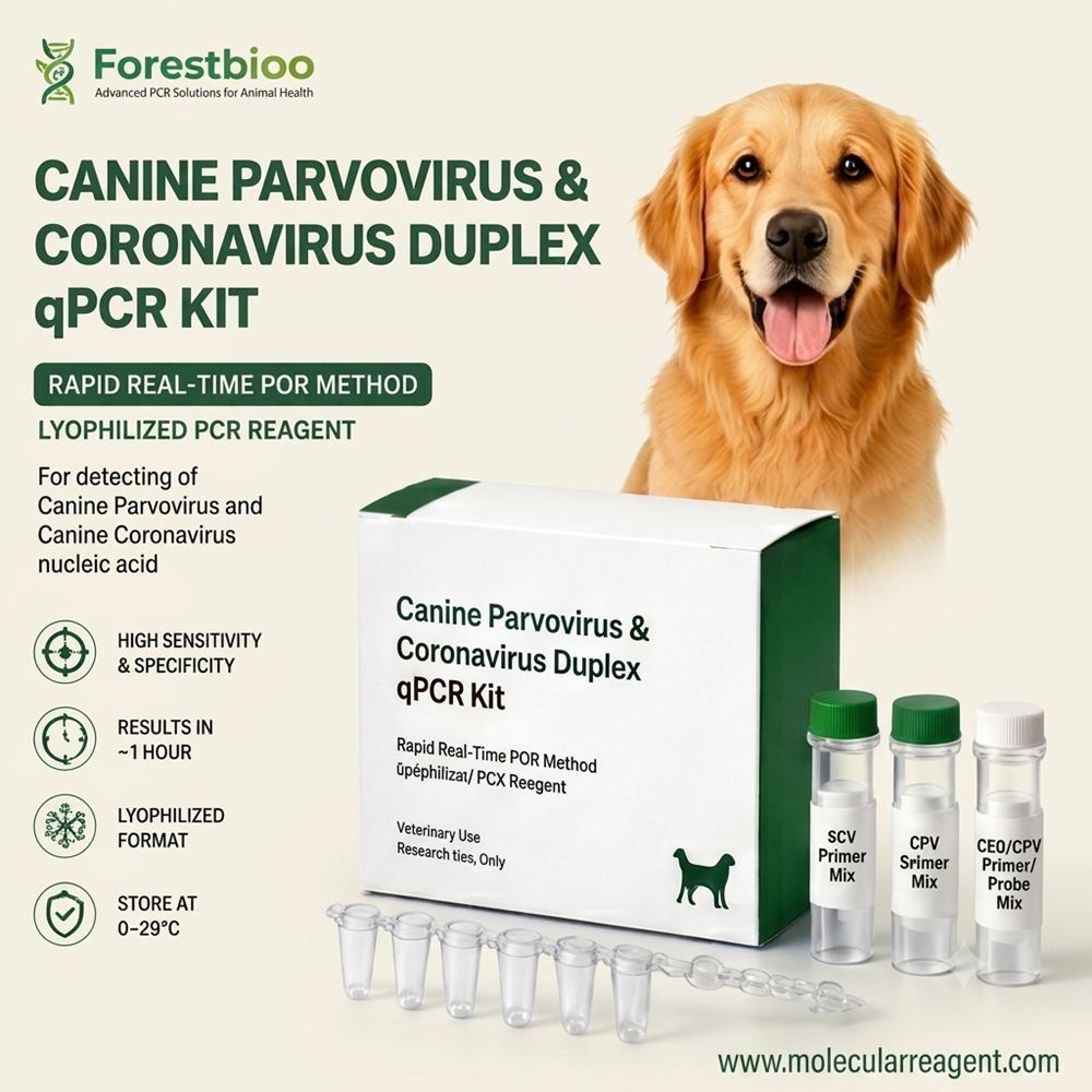 Canine Parvovirus & Coronavirus Duplex qPCR Kit | Veterinary PCR